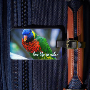 Rood Blauw Groen Vogel Leven in Kleur Quote Bagagelabel