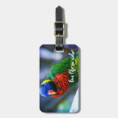 Rood Blauw Groen Vogel Leven in Kleur Quote Bagagelabel (Voorkant verticaal)