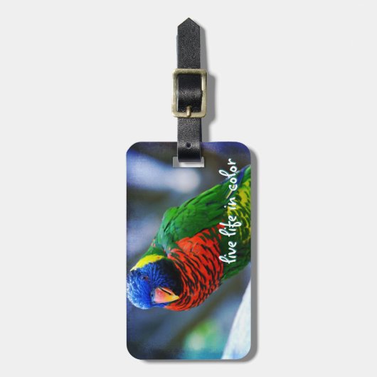 Rood Blauw Groen Vogel Leven in Kleur Quote Bagagelabel (Voorkant verticaal)