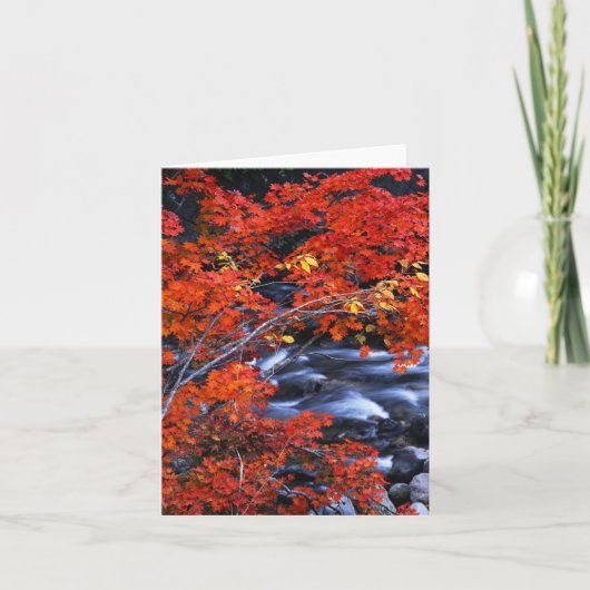 Rood/Blauw Landschap Kaart (Voorkant)
