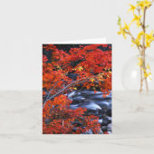 Rood/Blauw Landschap Kaart (Gele Bloem)