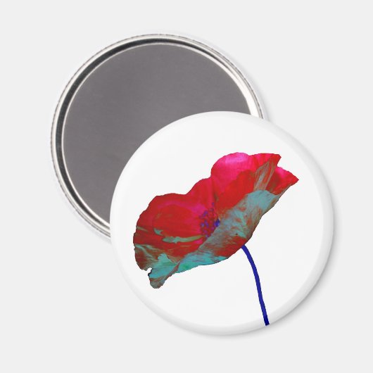 Rood blauw papaver op wit magneet (Voorkant / Achterkant)