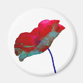 Rood blauw papaver op wit magneet (Voorkant)