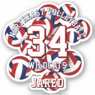 Rood blauw sportteam kleuren volleyballen kinder sticker