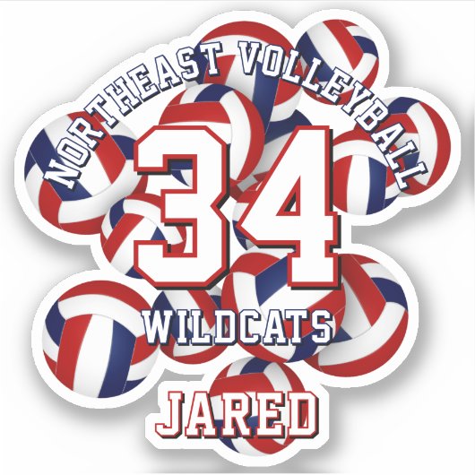 Rood blauw sportteam kleuren volleyballen kinder sticker (Voorkant)