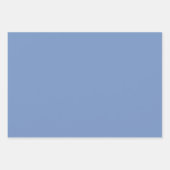 Rood blauw Waterverf bloemen Inpakpapier Vel (Voorkant 2)