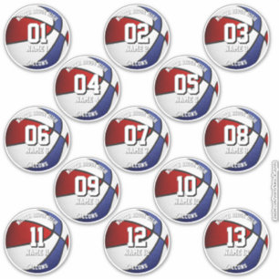 rood blauwe teamkleuren cadeaus 13 basketbalsticke sticker