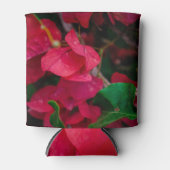 Rood Blikjeskoeler (Voorkant)