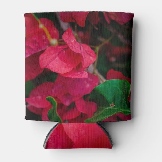 Rood Blikjeskoeler (Voorkant)