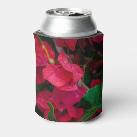 Rood Blikjeskoeler (Blikje Achterkant)