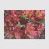 Rood Bloemen Tissue Paper Tissuepapier (Voorkant)
