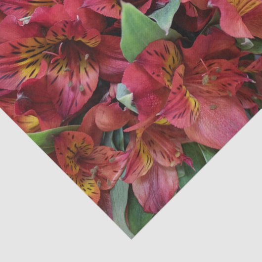 Rood Bloemen Tissue Paper Tissuepapier (Detail)