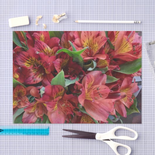 Rood Bloemen Tissue Paper Tissuepapier (Craft)