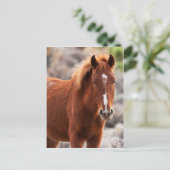 Rood Briefkaart (Staand voorkant)