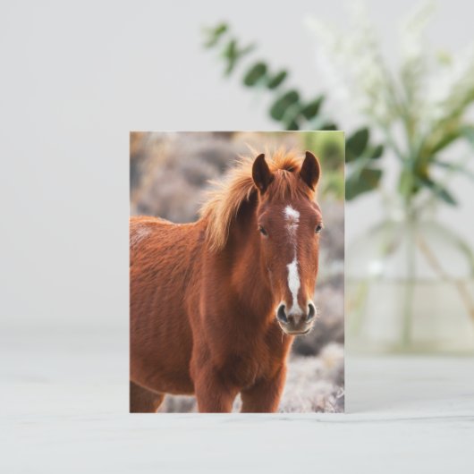 Rood Briefkaart (Staand voorkant)