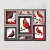 Rood Briefkaart Noordse kardinaal (Voorkant)
