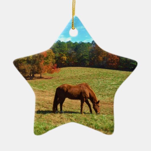 Rood bruin paard, Blauwgroen blauwe hemel Keramisch Ornament (Voorkant)
