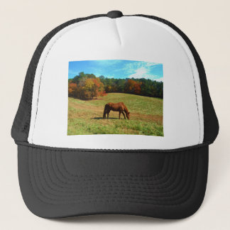 Rood bruin paard, Blauwgroen blauwe hemel Trucker Pet