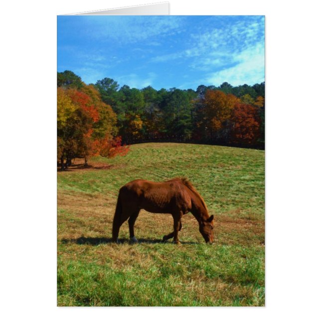 Rood bruin paard, herfst, blauwe luiers (Voorkant)