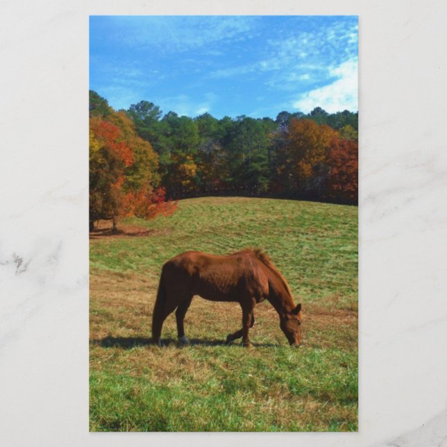 Rood bruin paard, herfst, blauwe luiers (Voorkant)