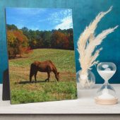 Rood bruin paard, herfst, blauwe luiers fotoplaat (Zijkant)