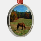 Rood bruin paard, herfst, blauwe luiers metalen ornament (Rechts)