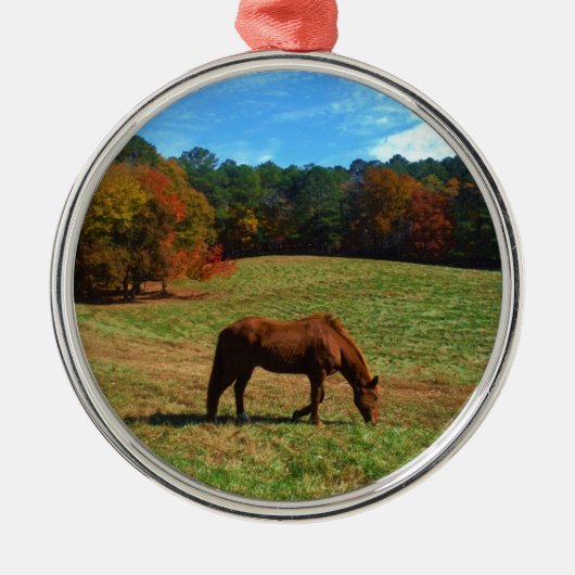 Rood bruin paard, herfst, blauwe luiers metalen ornament (Voorkant)