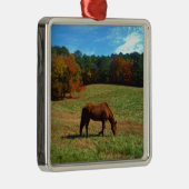 Rood bruin paard, herfst, blauwe luiers metalen ornament (Rechts)