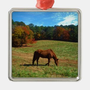 Rood bruin paard, herfst, blauwe luiers metalen ornament