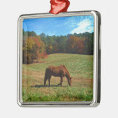 Rood bruin paard, herfst, blauwe luiers metalen ornament (Links)