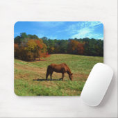 Rood bruin paard, herfst, blauwe luiers muismat (Met muis)