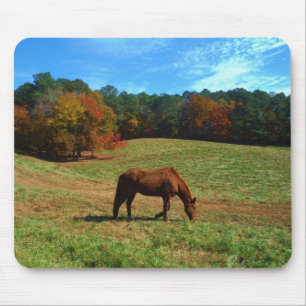Rood bruin paard, herfst, blauwe luiers muismat