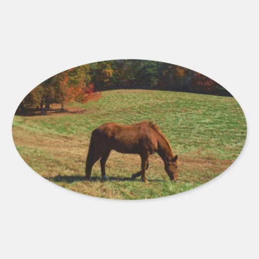 Rood bruin paard, herfst, blauwe luiers ovale sticker (Voorkant)