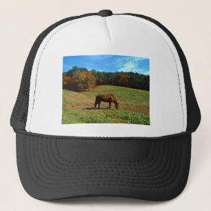 Rood bruin paard, herfst, blauwe luiers trucker pet