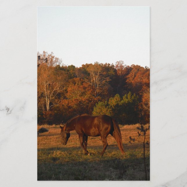 Rood bruin paard, herfst bossen. (Voorkant)