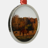 Rood bruin paard, herfst bossen. metalen ornament (Rechts)