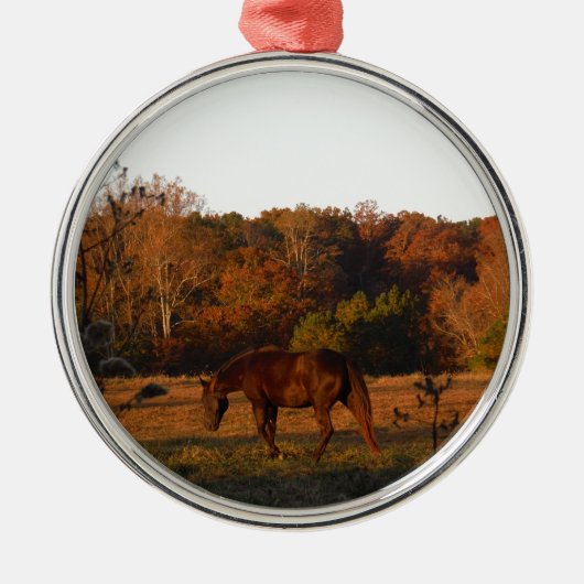 Rood bruin paard, herfst bossen. metalen ornament (Voorkant)