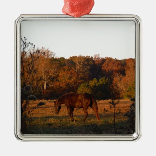 Rood bruin paard, herfst bossen. metalen ornament (Voorkant)