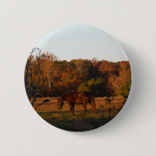 Rood bruin paard, herfst bossen. ronde button 5,7 cm