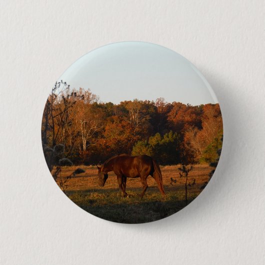 Rood bruin paard, herfst bossen. ronde button 5,7 cm (Voorkant)