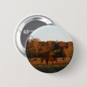 Rood bruin paard, herfst bossen. ronde button 5,7 cm (Voorkant /achterkant)