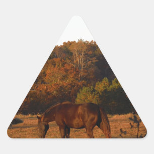 Rood bruin paard, herfst bossen. sticker
