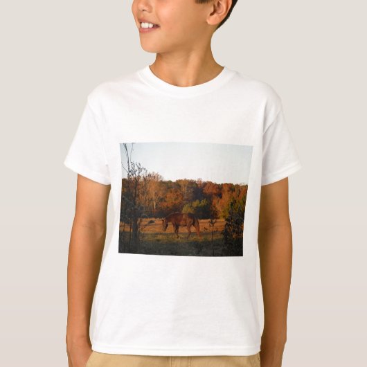 Rood bruin paard, herfst bossen. t-shirt (Voorkant)