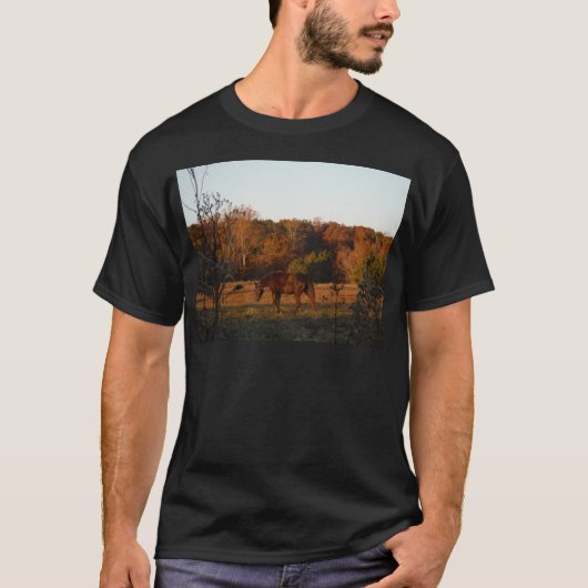 Rood bruin paard, herfst bossen. t-shirt (Voorkant)