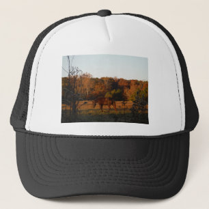 Rood bruin paard, herfst bossen. trucker pet