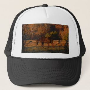 Rood bruin paard, herfst bossen. trucker pet