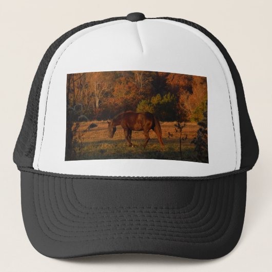 Rood bruin paard, herfst bossen. trucker pet (Voorkant)