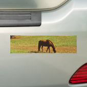 Rood bruin paard in de herfstbomen bumpersticker (Op auto)