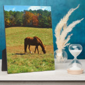 Rood bruin paard in de herfstbomen fotoplaat (Zijkant)