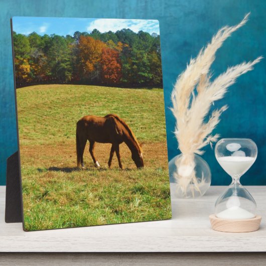 Rood bruin paard in de herfstbomen fotoplaat (Zijkant)